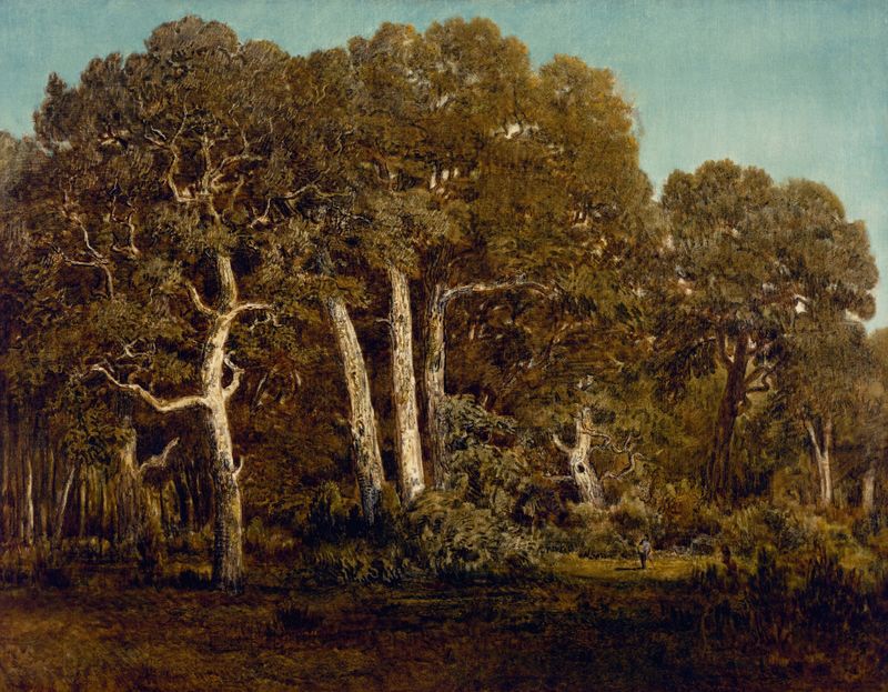 The Great Oaks of Old Bas-Bréau by Théodore Rousseau, oil on canvas depicting towering oaks in a serene landscape.