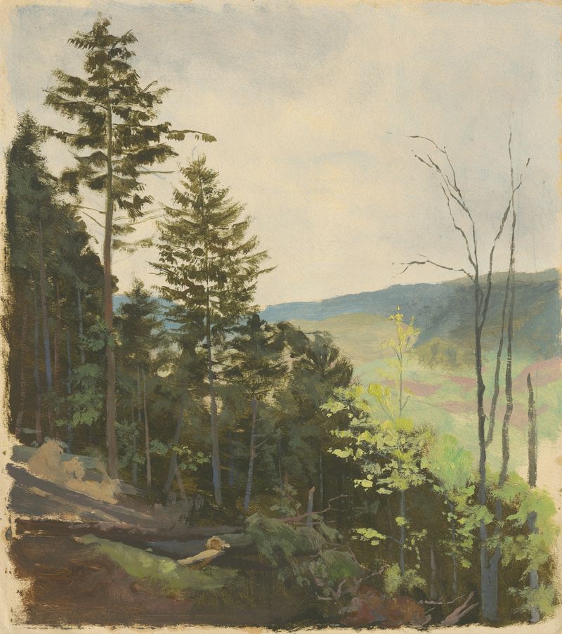 Landscape of Scrub Hill by Jan Nowopacký, oil on canvas