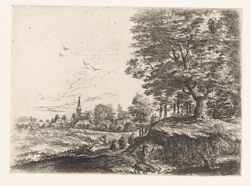 Landschap met een man met varkens, etching by Philips Augustijn Immenraet