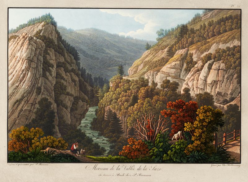 Paisaje de Peter Birmann, con colinas y luz, medio desconocido