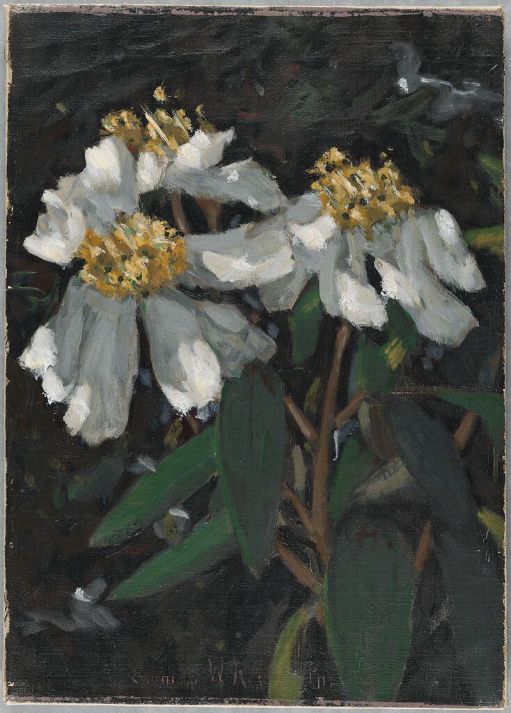 Pintura al óleo de flores vibrantes de Denman Waldo Ross