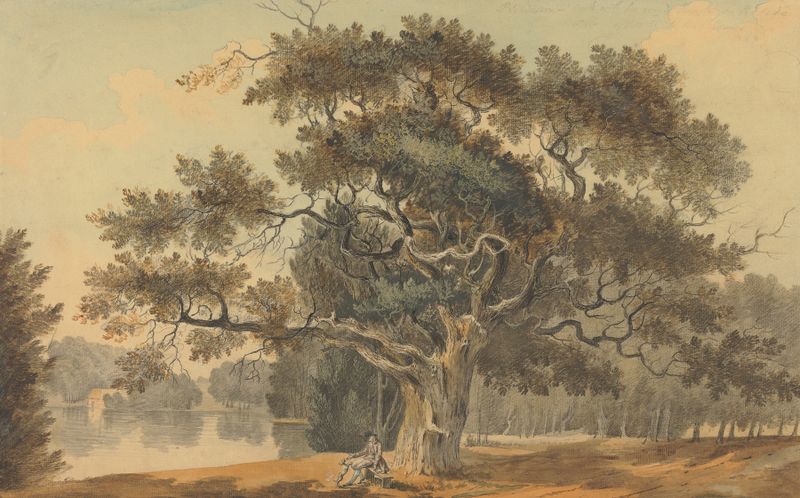 Pintura a óleo de paisagem de John Claude Nattes com colinas suaves e luz suave.