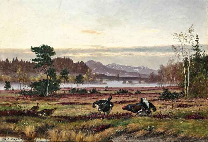 Black grouse courtship in the Alpine foothills by Otto Recknagel, medium unknown