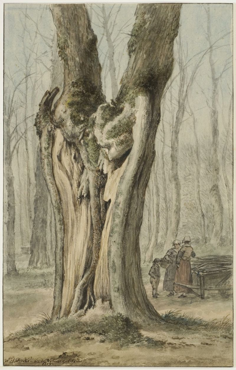 De wonderboom in de Spanjaardslaan in de Haarlemmerhout te Haarlem by Wybrand Hendriks, oil painting