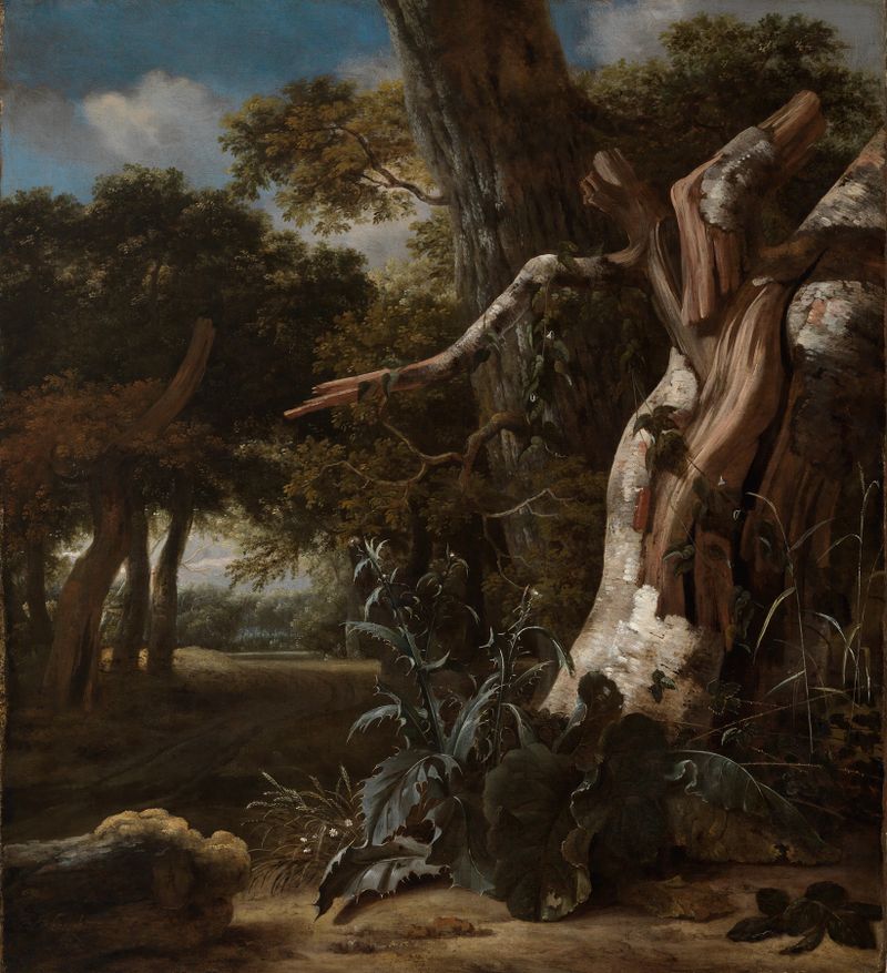 Waldlandschaft mit einer vom Blitz getroffenen Buche, óleo de Jan Van Kessel The Elder