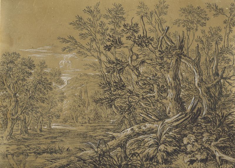 Stream through an Ancient Forest by Jonas Umbach, oil painting depicting a serene woodland with light and water.