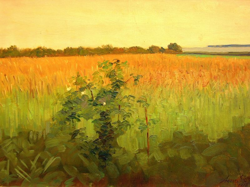 Fields by Agnes Slott-Møller, oil painting depicting vibrant fields and emotional depth.