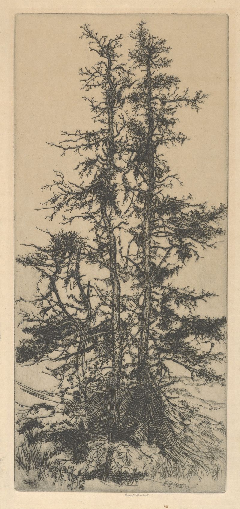 Paisaje de Post-Impresionismo que muestra árboles cubiertos de musgo de Ernest Haskell