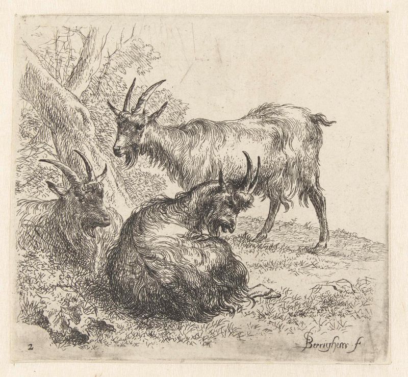 Três cabras em uma paisagem, gravura de Nicolaes Pietersz Berchem