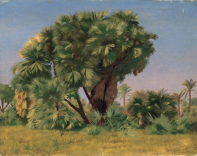 Estudo de Palmeiras de Jean-Léon Gérôme, pintura a óleo que mostra palmeiras sob a luz do sol.