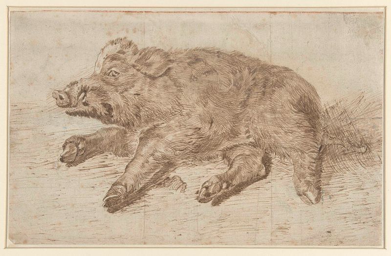 Javali descansando em um ambiente natural, Dutch Golden Age, Unknown Artist