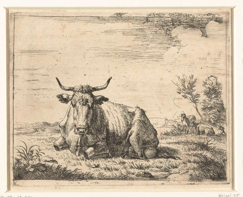 Aguafuerte de una vaca descansando sobre hierba de Adriaen van de Velde