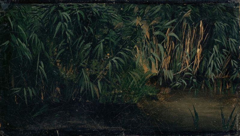 Reed de Arnold Böcklin, pintura al óleo que representa juncos delicados y luz cálida
