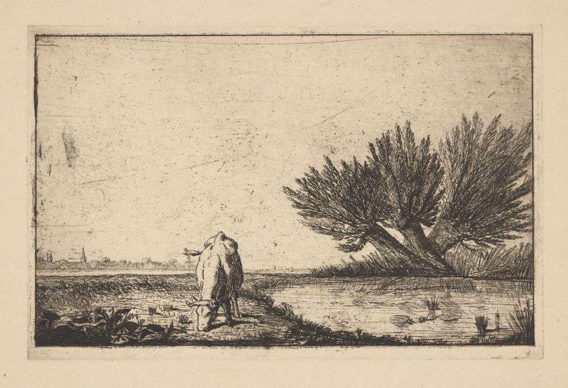 Cow grazing by pond, oil on canvas by Auguste Delâtre