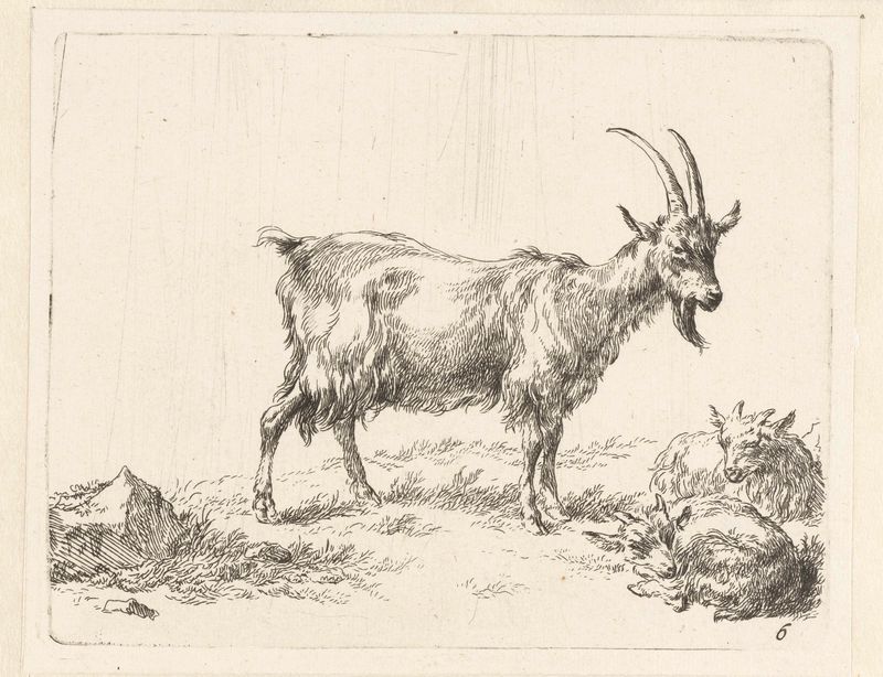 Grabado de Nicolaes Pietersz Berchem que representa una cabra con dos crías