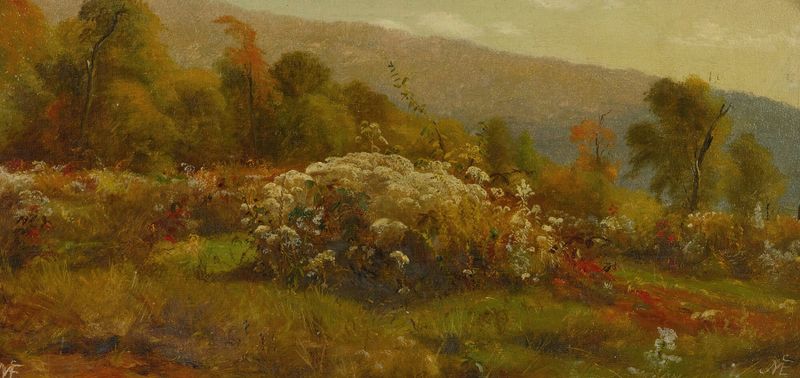 Fall Flowers On A Hillside, oil on canvas by Jervis McEntee, depicting vibrant flowers on a hillside.