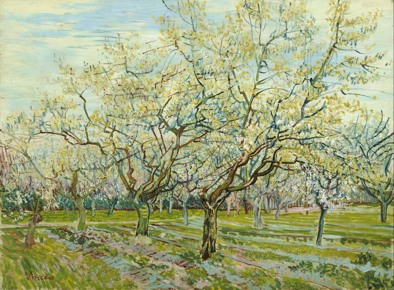 The White Orchard by Vincent van Gogh, oil painting depicting blossoms and greenery.