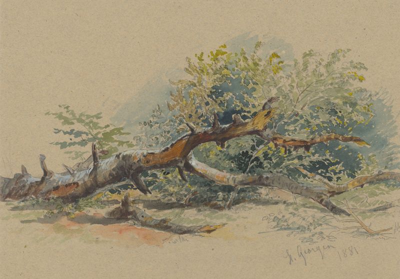 Study of a Cut Down Tree by Friedrich Carl von Scheidlin, oil on canvas depicting a gnarled stump in a landscape.