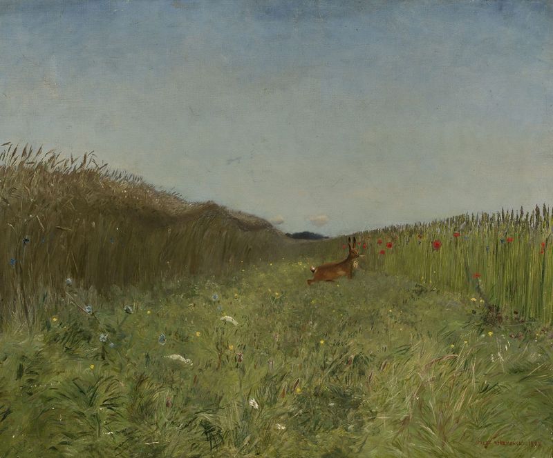Hare in the grain, óleo sobre lienzo de Jozef Chelmonski