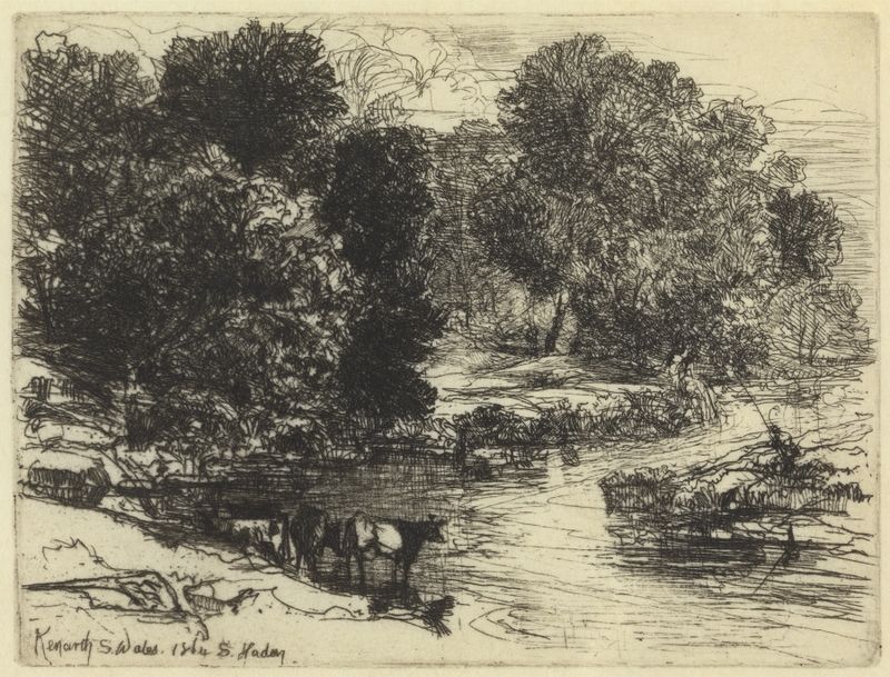 Grabado de Francis Seymour Haden que representa un paisaje tranquilo con sombras y follaje.