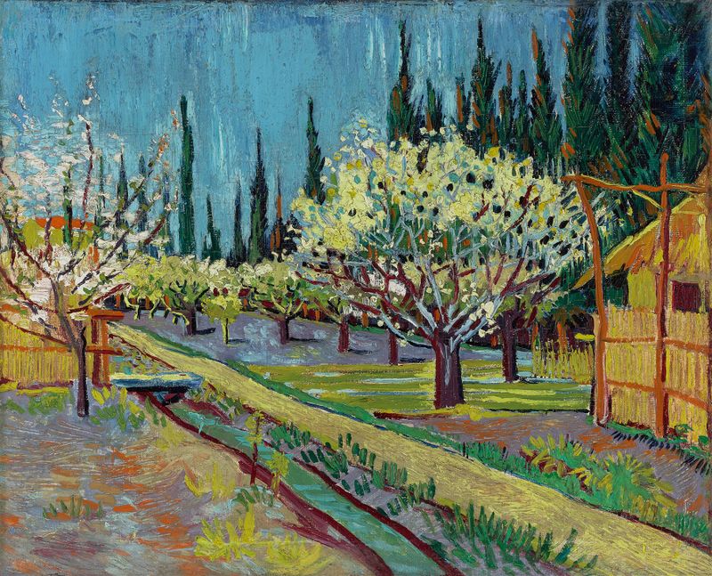 Huerto bordeado de cipreses, óleo sobre lienzo de Vincent van Gogh