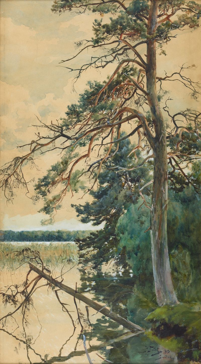Lake reflections in oil on canvas by Julian Falat