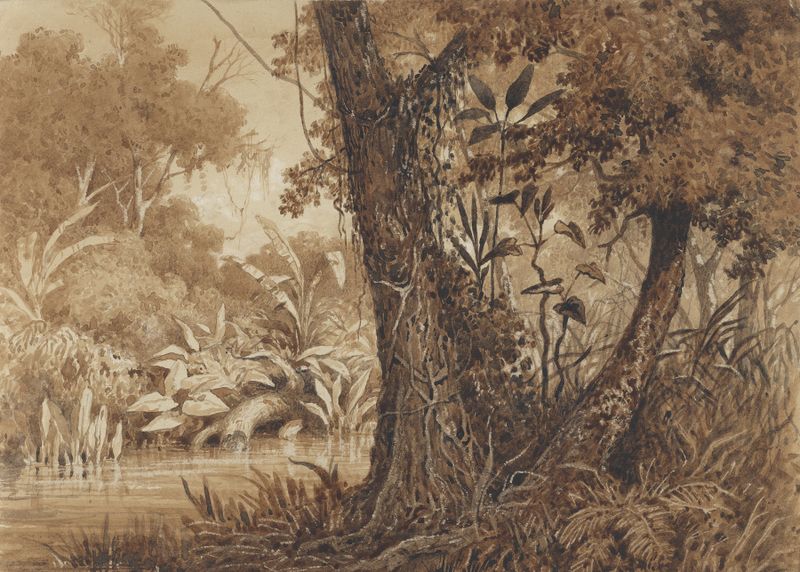 On the Cimaronero River, óleo sobre lienzo de Michel Jean Cazabon, que representa un río a través de un denso follaje.