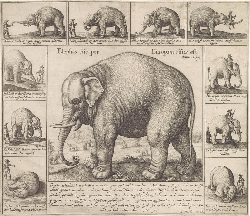Gravura figurativa de Wenceslaus Hollar com padrões intrincados e luz dourada.