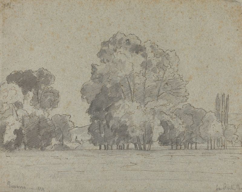 Grove of Trees de Camille Pissarro, óleo que muestra árboles exuberantes y luz moteada.