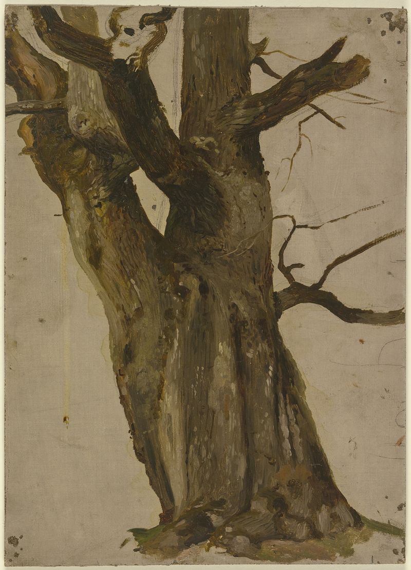Hollow tree by Jakob Becker, oil on canvas depicting a gnarled tree in sunlight