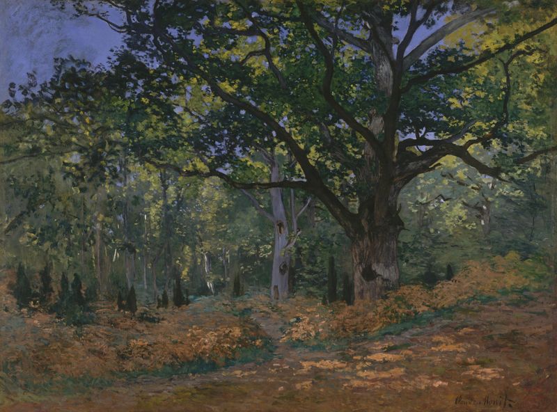 El Roble Bodmer, Bosque de Fontainebleau de Claude Monet, óleo de un roble retorcido en un bosque sereno.
