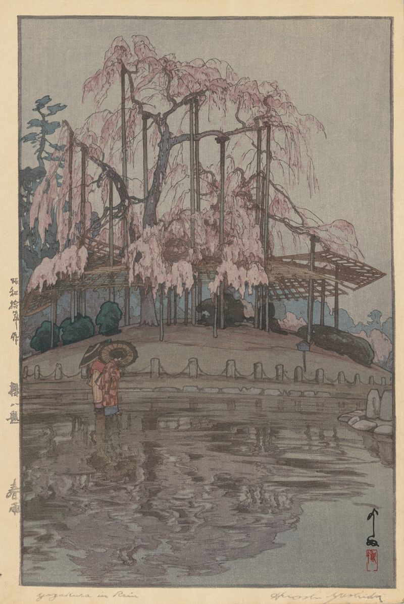 Flores de cerejeira na chuva de primavera, Ukiyo-e de Yoshida Hiroshi