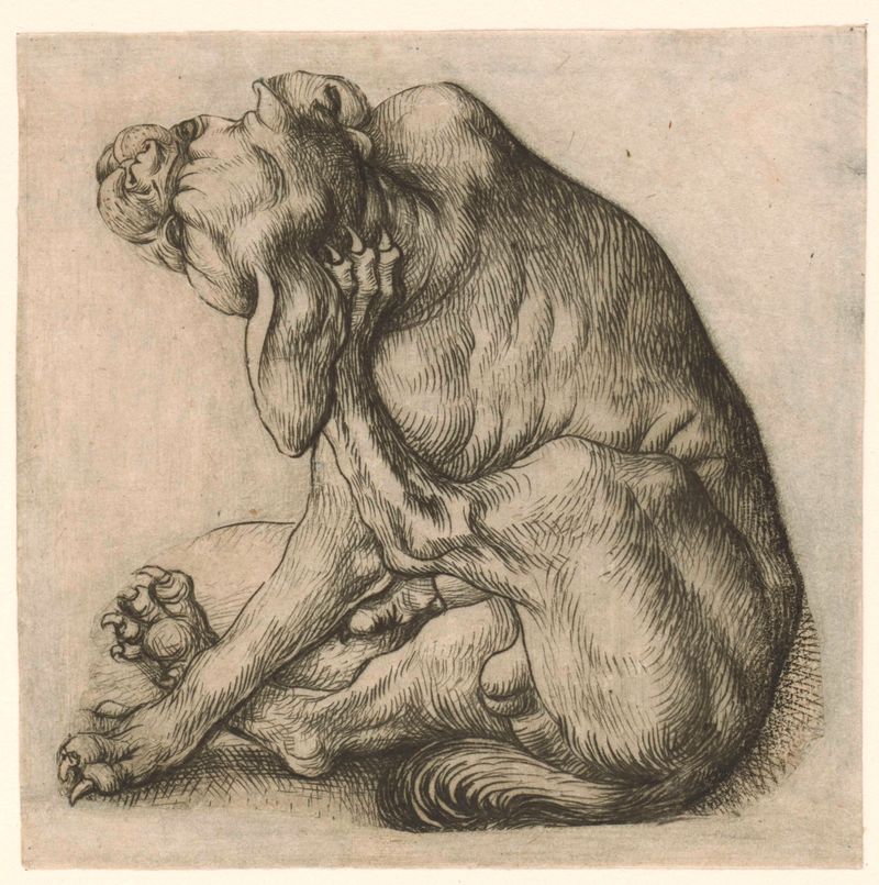 Aguafuerte de Meester van het Amsterdamse Kabinet que representa un perro con mirada intensa.