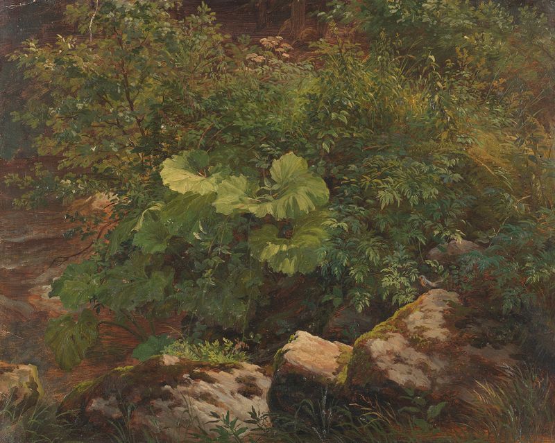 Botanical study of flowers and leaves by Gustav Friedrich Papperitz, oil painting