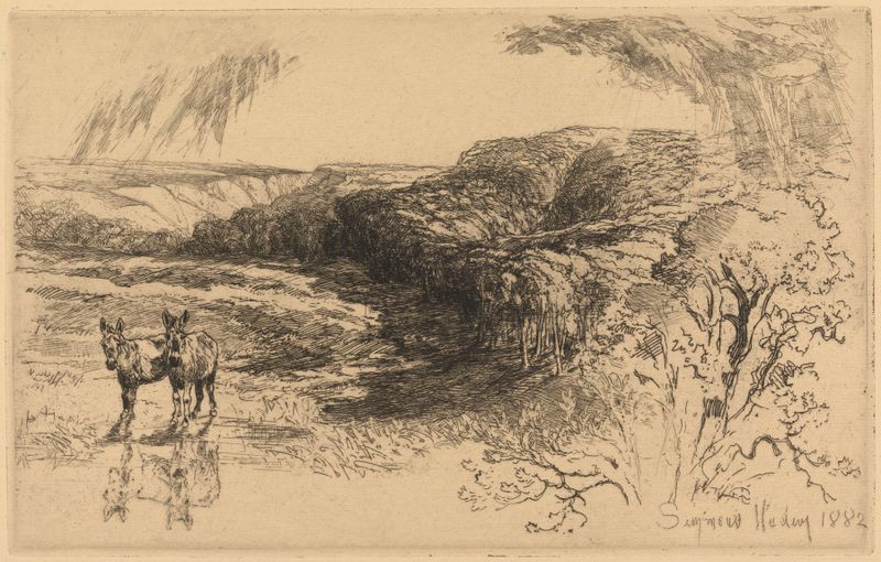 Gravura de Francis Seymour Haden representando Encombe Woods com verdes vibrantes e luz filtrada