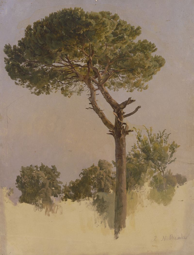 Pine tree landscape by Johann Nepomuk Rauch, 1841-1847