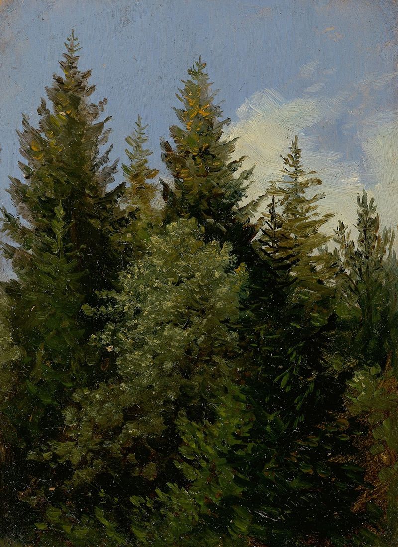 Landscape of Tannen by Carl Gustav Carus, oil painting featuring lush greenery and tall pines.