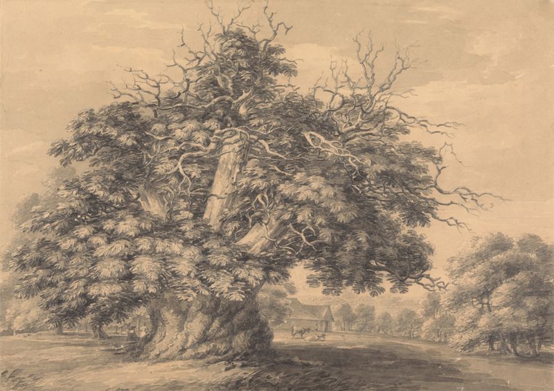 A Castanheira em Little Wymondley por Thomas Hearne, pintura a óleo