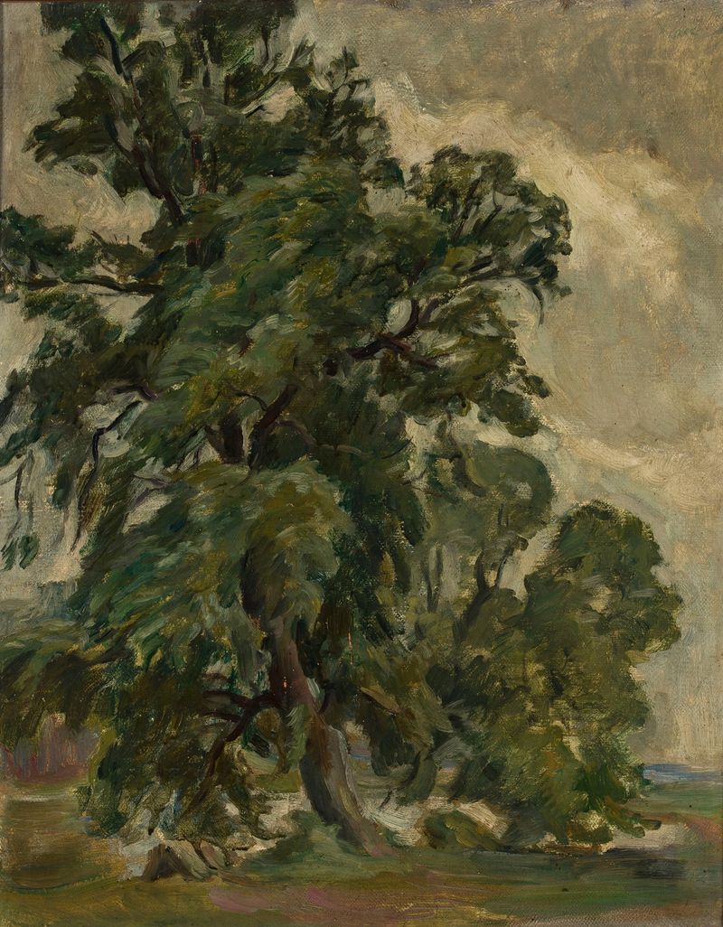 Árbol de roble de Koźma Czuryłło, mostrando rica textura y colores profundos.