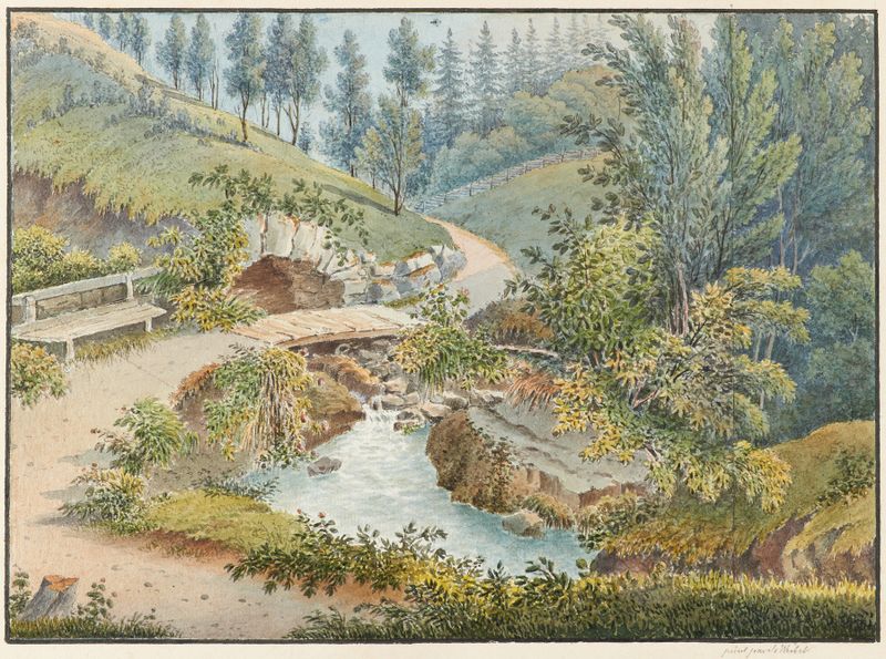 Paisagem mostrando vegetação exuberante e colinas de Jakob Samuel Weibel, meio desconhecido