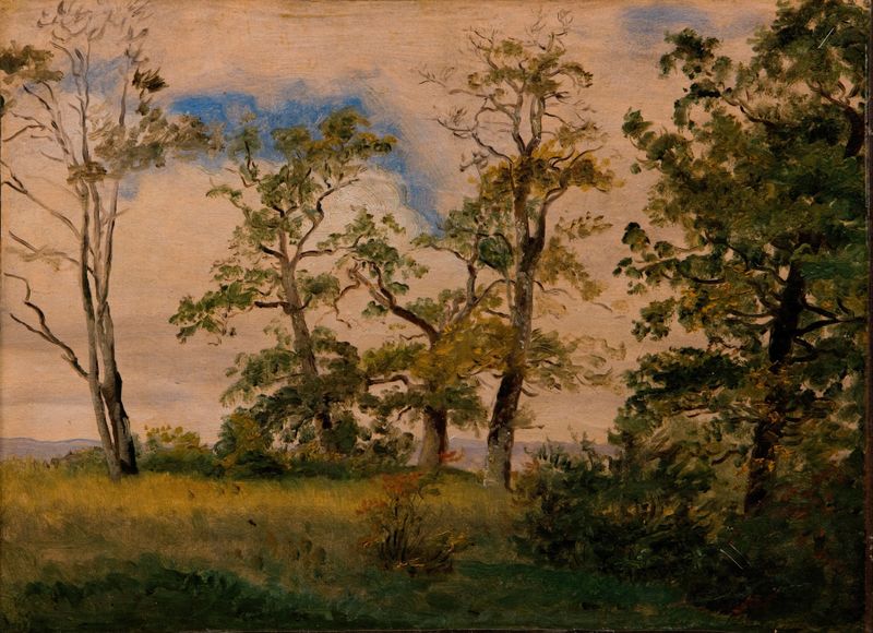 Landscape with free-standing trees by Dankvart Dreyer, oil painting depicting trees and light.