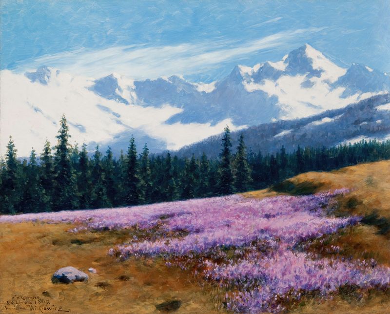 Crocuses with snowy mountains behind, oil painting by Stanisław Witkiewicz