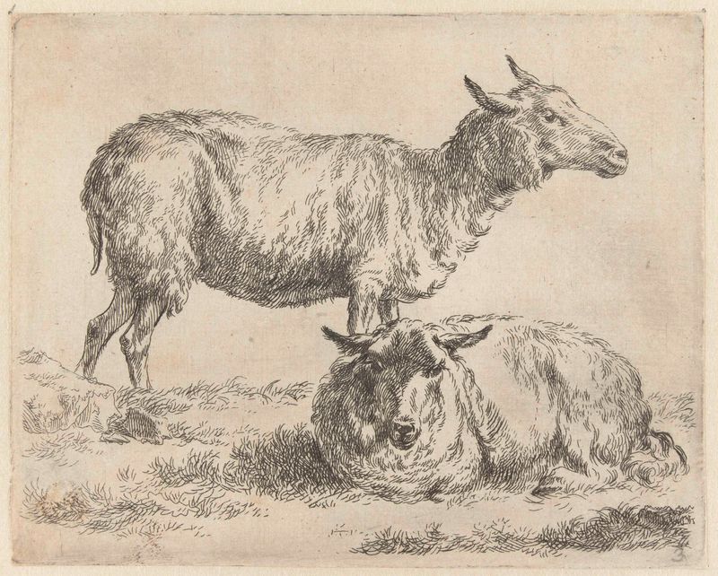 Grabado de Nicolaes Pietersz Berchem que muestra ovejas en un pasto exuberante