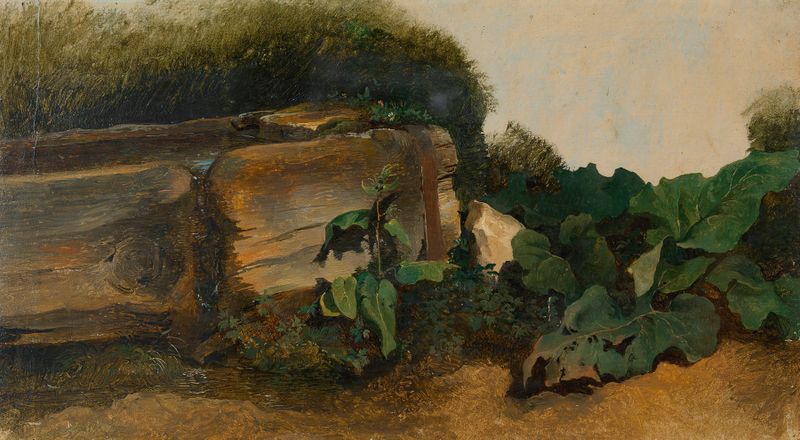 Botanical scene with leaves and a water trough, oil painting by Friedrich August Matthias Gauermann