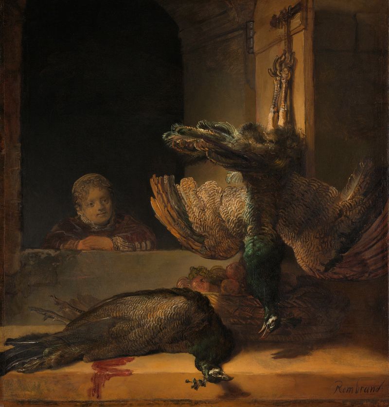 Naturaleza muerta con pavos reales en un almacén, óleo sobre lienzo de Rembrandt van Rijn