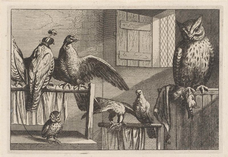 Gravura de Wenceslaus Hollar representando corujas e falcões em uma cena noturna