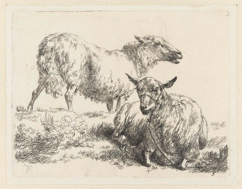 Gravura de Nicolaes Pietersz Berchem mostrando uma ovelha reclinada e uma ovelha em pé