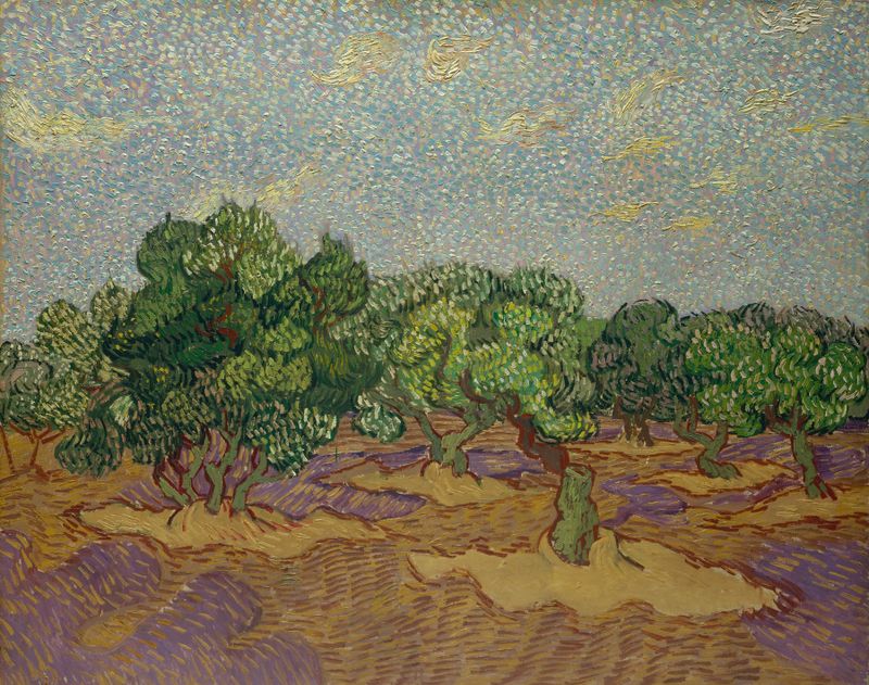 Olive Trees de Vincent van Gogh, óleo sobre tela que retrata troncos retorcidos e cores vibrantes