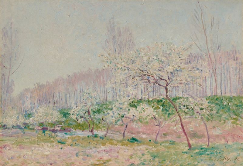 Pommiers en fleurs de Alfred Sisley, pintura al óleo que muestra flores de cerezo contra un cielo azul.
