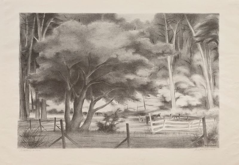 Obra expressionista de Violet Nakashima retratando um cavalo solitário em uma paisagem suave
